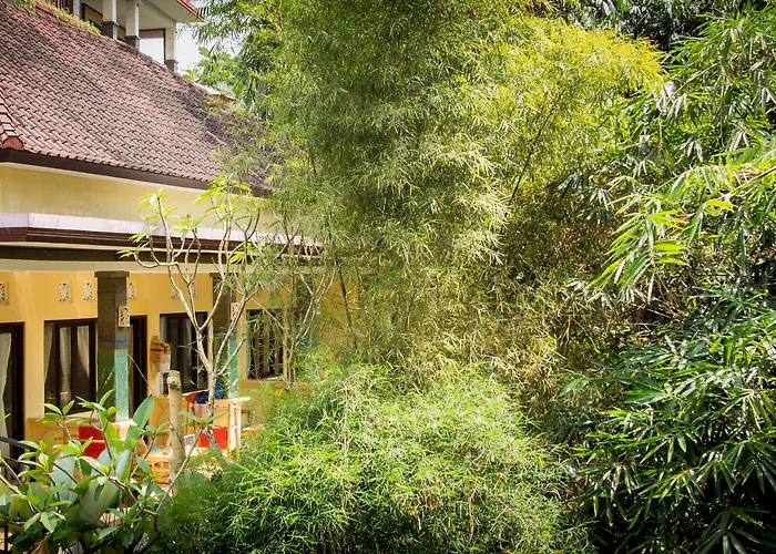Widia Affittacamere Ubud